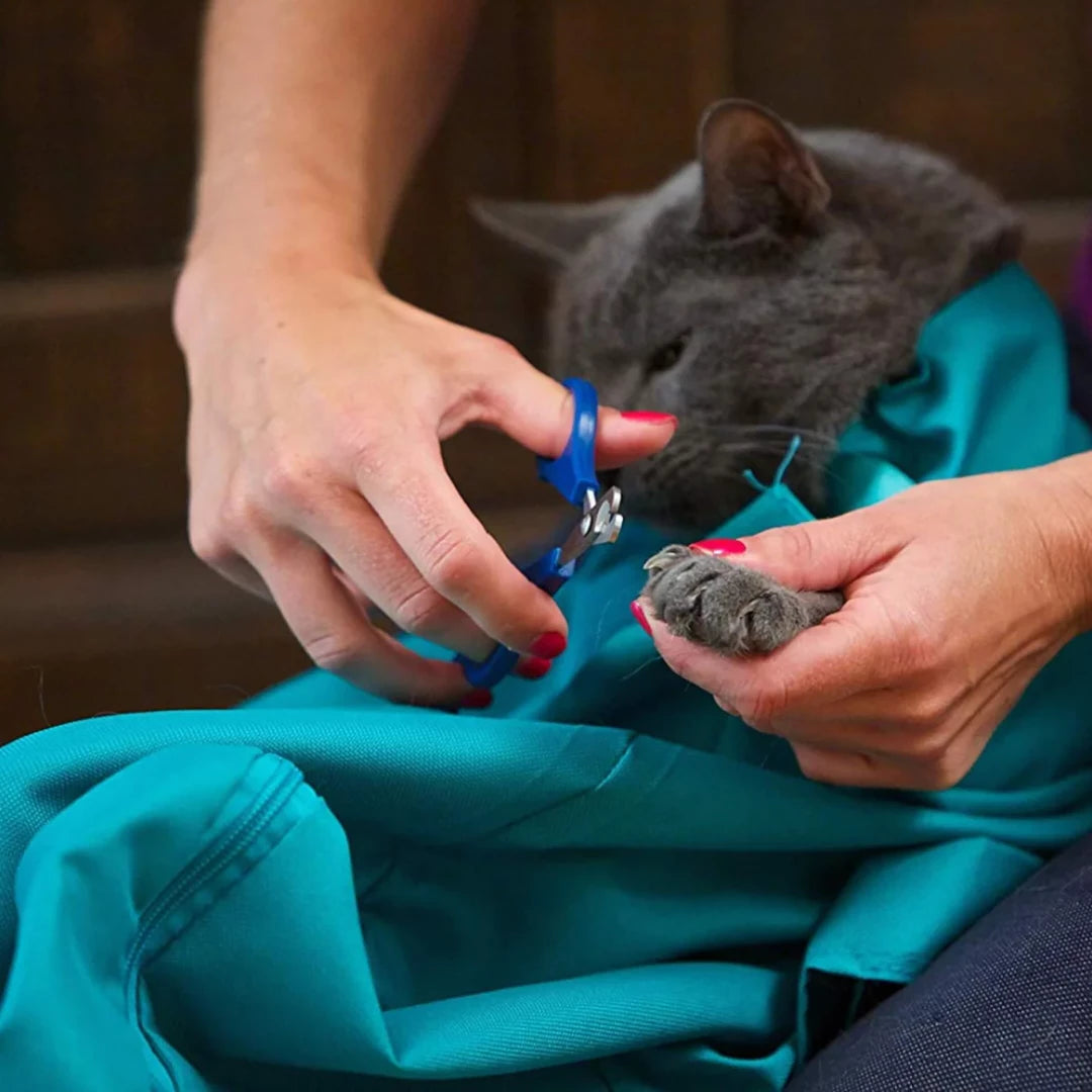 On-The-Go Cat Pouch
